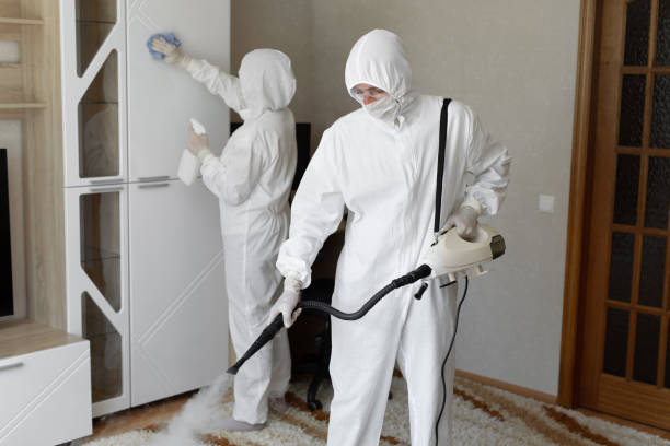 Affordable Sewage Cleanup solutions in Meriden, WY
